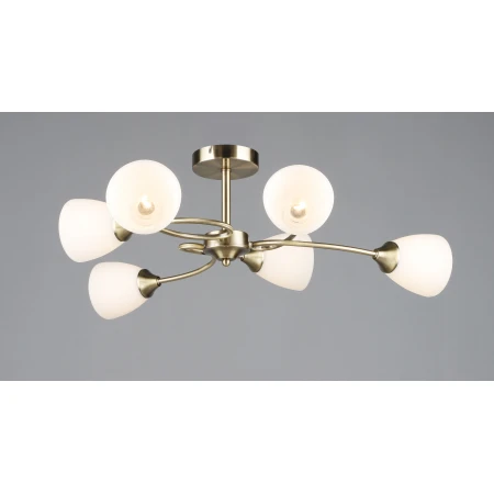 7124/6 AB (1) Люстра RL 