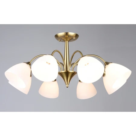 6987/8 COP (1) Люстра RL 