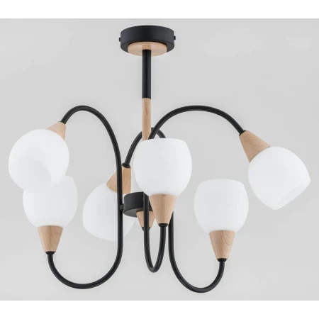 Потолочная люстра Alfa Arno 26226