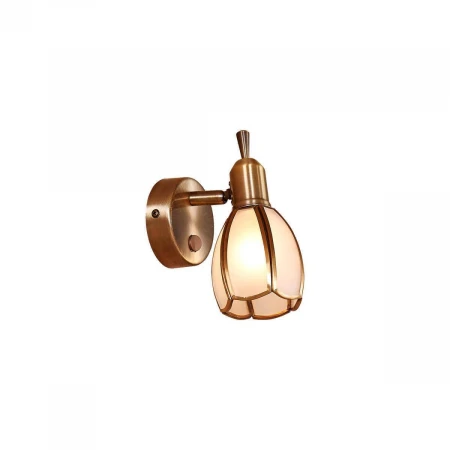 Спот Citilux Альтен-2 CL522611