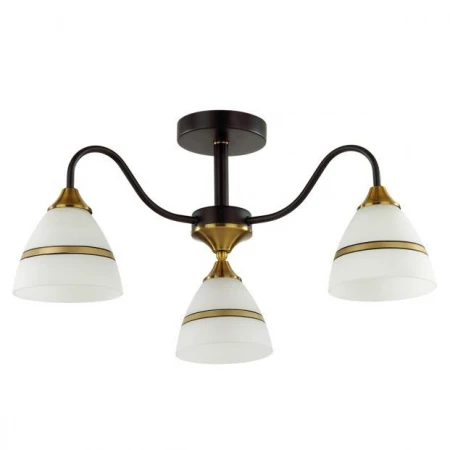 Люстра Lumion 5214/3C NETTIE