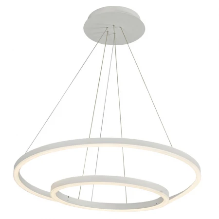 Светильник Donolux S111029/2 D600 Hoop Light