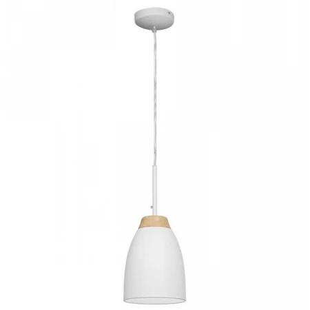 Светильник Loft IT LOFT4402A-WH Watchman