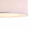Потолочный светильник Maytoni Bergamo MOD617CL-04GR Потолочный светильник Maytoni Bergamo MOD617CL-04GR