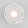 Уличный светодиодный светильник Elektrostandard Light Led 35141/H белый 4690389180132