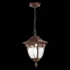 Уличный подвесной светильник ST Luce Chiani SL083.703.01