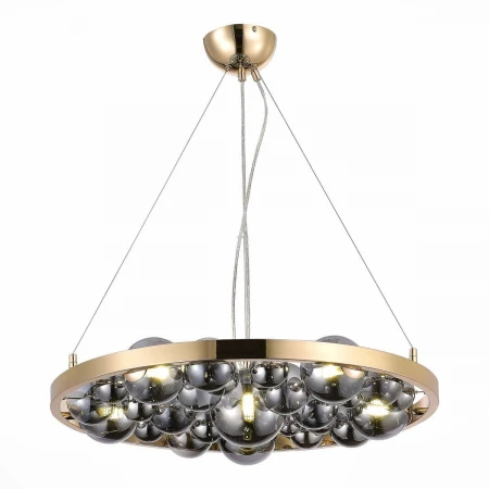 Подвесная люстра ST Luce Olmi SL1510.203.06