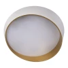 Потолочный светодиодный светильник Loft IT Coin 10199 White Потолочный светодиодный светильник Loft IT Coin 10199 White
