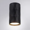Потолочный светильник Arte Lamp Fang A5557PL-1BK