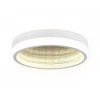 Потолочный светодиодный светильник Ambrella light Ice FA9431