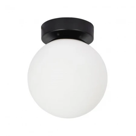 Потолочный светильник Arte Lamp Alcor A2224PL-1BK