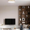 Потолочный светодиодный светильник Loft IT Flims 10228/A Потолочный светодиодный светильник Loft IT Flims 10228/A