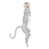 Настенный светильник Loft IT Monkey 10314W/A Настенный светильник Loft IT Monkey 10314W/A
