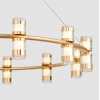 Подвесная светодиодная люстра Favourite Ampullen 4323-12P