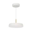 Подвесной светодиодный светильник Arlight SP-Elegant-R300-17W Warm3000 033914(1)