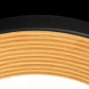 Потолочный светильник Loft IT Folk 10255/500 Black