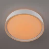 Потолочный светодиодный светильник Citilux Boss CL751250G