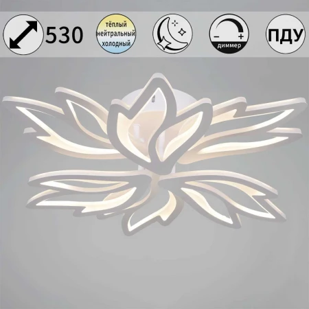 Светильник потолочный Reluce 09862-0.3-06 WH (RGB)