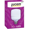 Лампа светодиодная Lucem E27 30W 6500K матовая FLLCB302765L