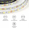 Светодиодная лента OGM 14,4W/m 60LED/m 5050SMD холодный белый 5M LSE-270