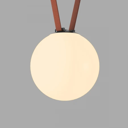 Трековый светильник Denkirs Belty Orb DK5555-BK