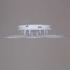Потолочная светодиодная люстра Reluce 09820-3.3-05 WH