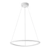 Подвесной светодиодный светильник Citilux Trio CL215B050