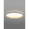 Светильник потолочный Citilux ENZO CL753450G