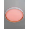 Светильник потолочный Citilux ENZO CL753450G