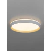 Светильник потолочный Citilux ENZO CL753450G