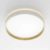Потолочный светодиодный светильник Citilux Etalon CL750240