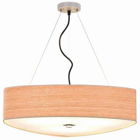 Светильник L ARTE LUCE L67703.50 Delta