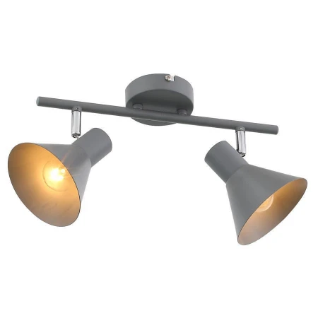 Спот ST LUCE SL403.701.02 GRISPO