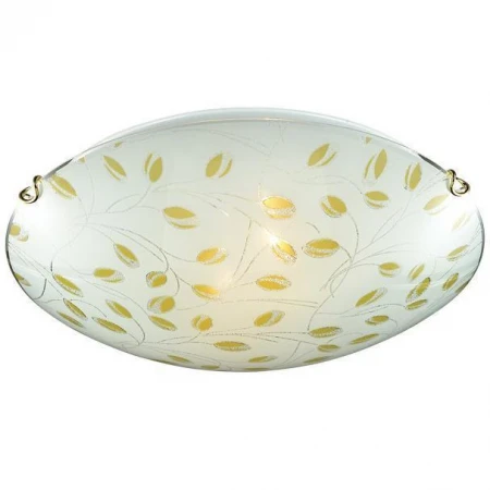 Настенно-потолочный светильник Sonex 223 ETRA