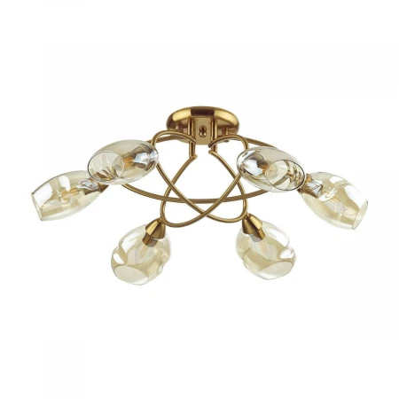 Потолочная люстра Lumion Orla 4483/6C