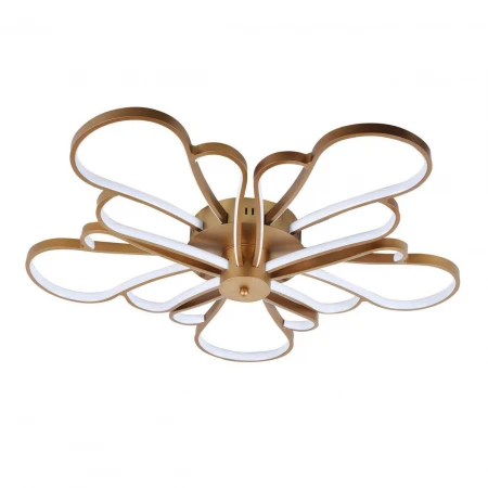 Потолочный светодиодный светильник F-Promo Bluten 2548-5U