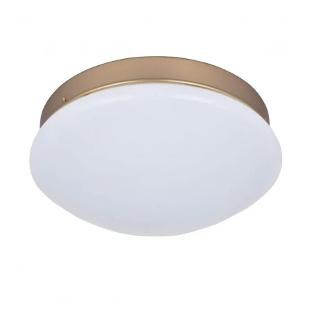 Потолочный светодиодный светильник F-Promo Ledante 2466-1C