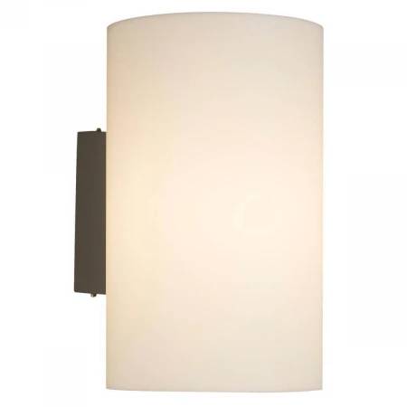 Уличный настенный светильник Maytoni Camden O008WL-01S