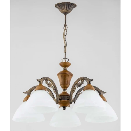 Подвесная люстра Alfa Praga 10775