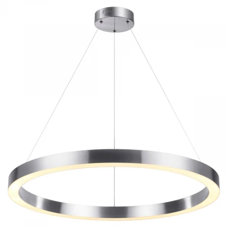 Подвесной светодиодный светильник Odeon Light Brizzi 4244/45L