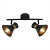 Спот Arte Lamp Baltimore A1406AP-2BK